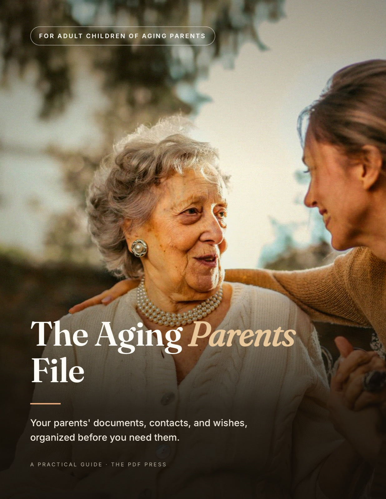 The Aging Parents File guide cover